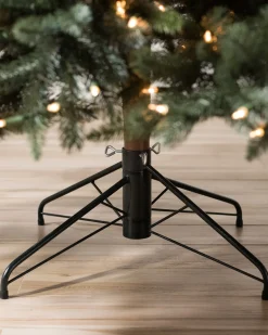 Aspen Estate Fir® ReNEW™