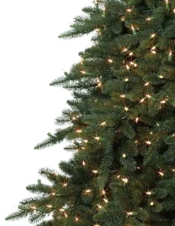 Aspen Estate Fir® ReNEW™