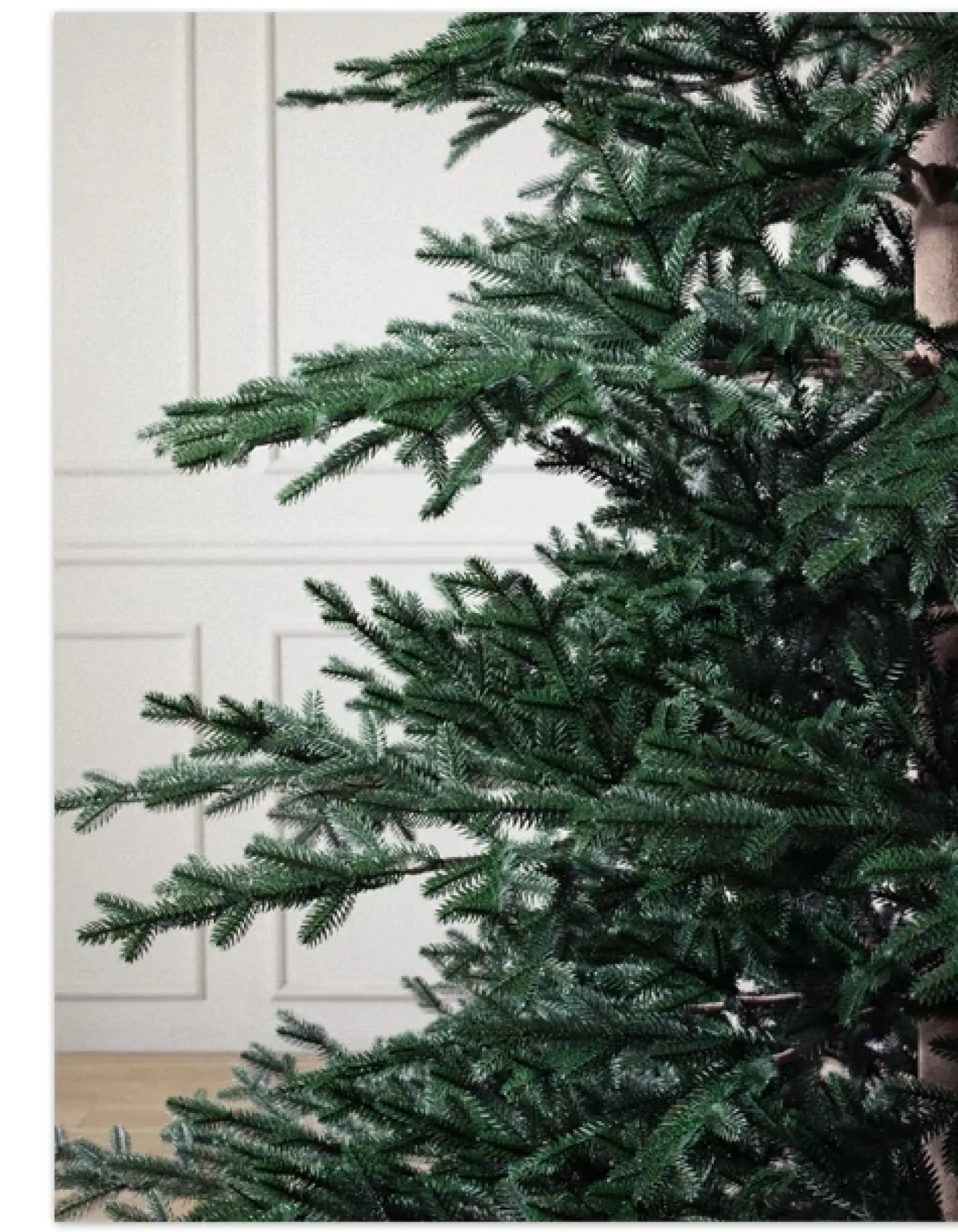 Aspen Silver Fir® ReNEW™