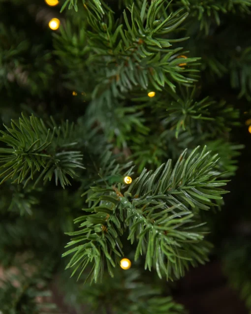 Baby Yukon Spruce® Potted Trees