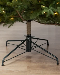 BH Balsam Fir® ReNEW™