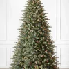 BH Blue Spruce Trees