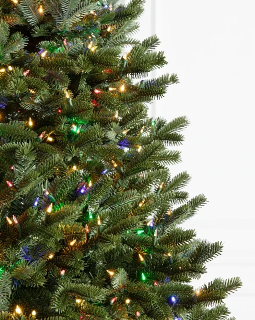 BH Fraser Fir Trees