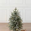 BH Frosted Balsam Fir® Tabletop Trees