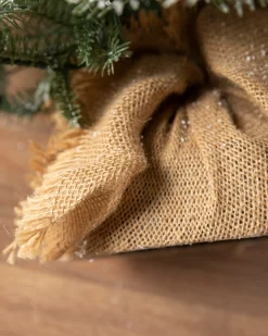 BH Frosted Balsam Fir® Tabletop Trees