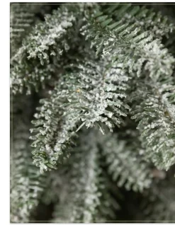 BH Frosted Balsam Fir® Tabletop Trees