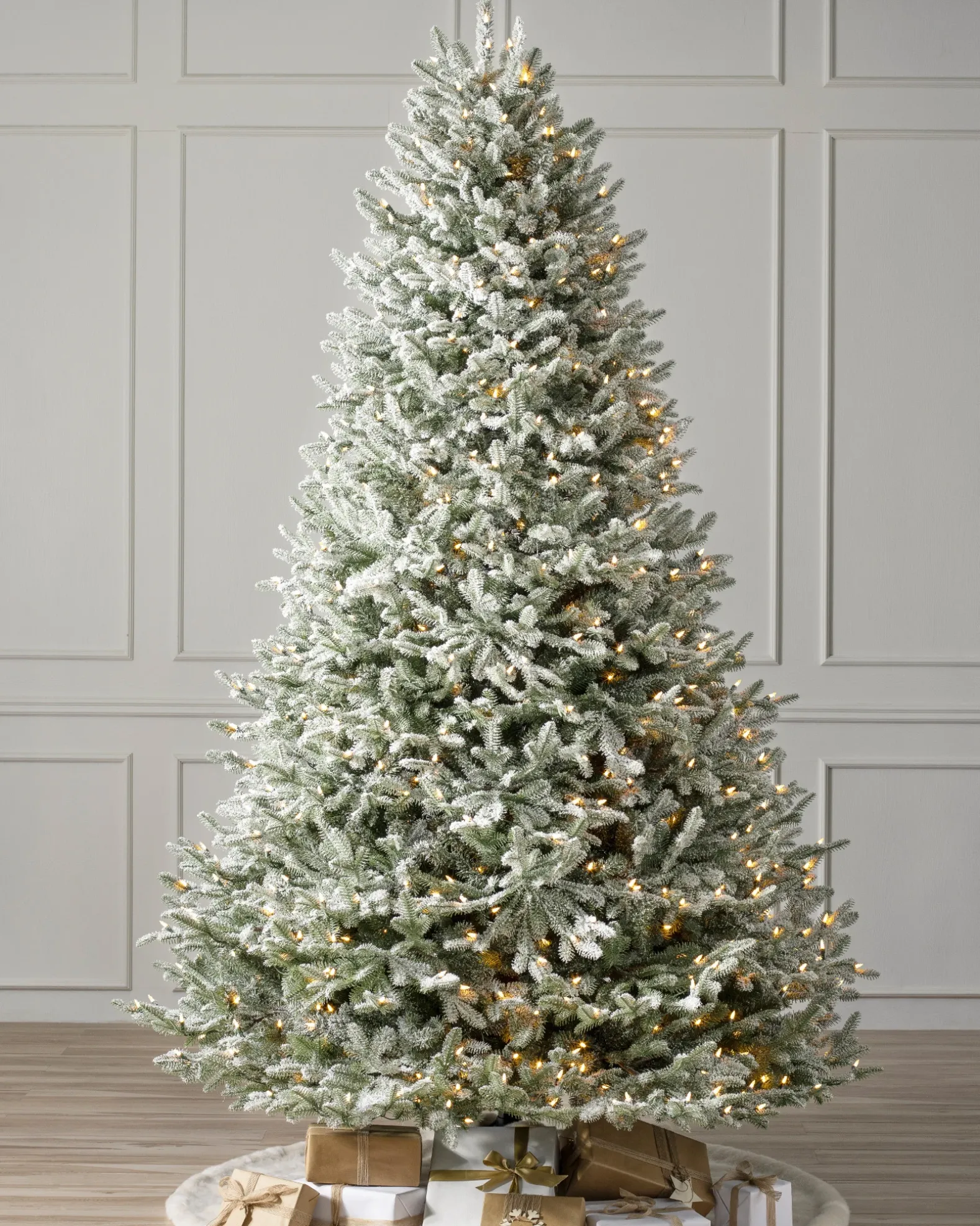 BH Frosted Balsam Fir Trees