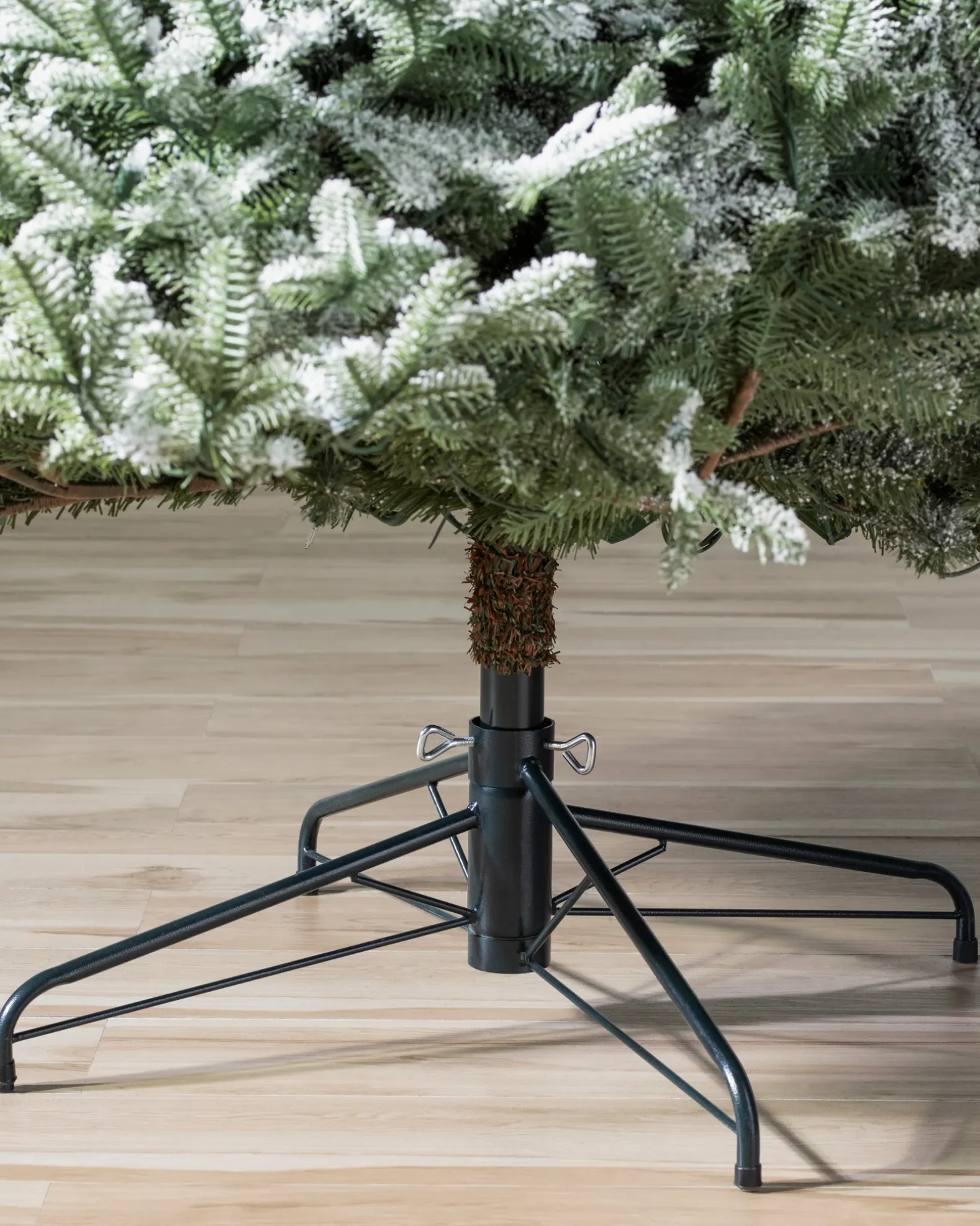 BH Frosted Balsam Fir Trees