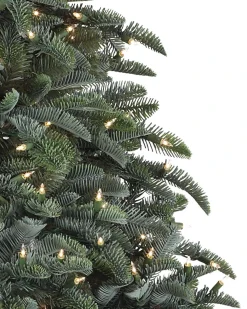BH Noble Fir® Trees