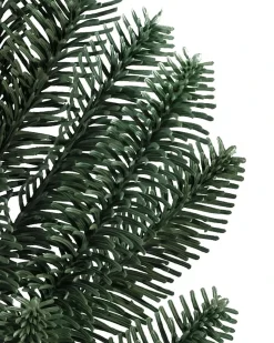 BH Noble Fir® Trees
