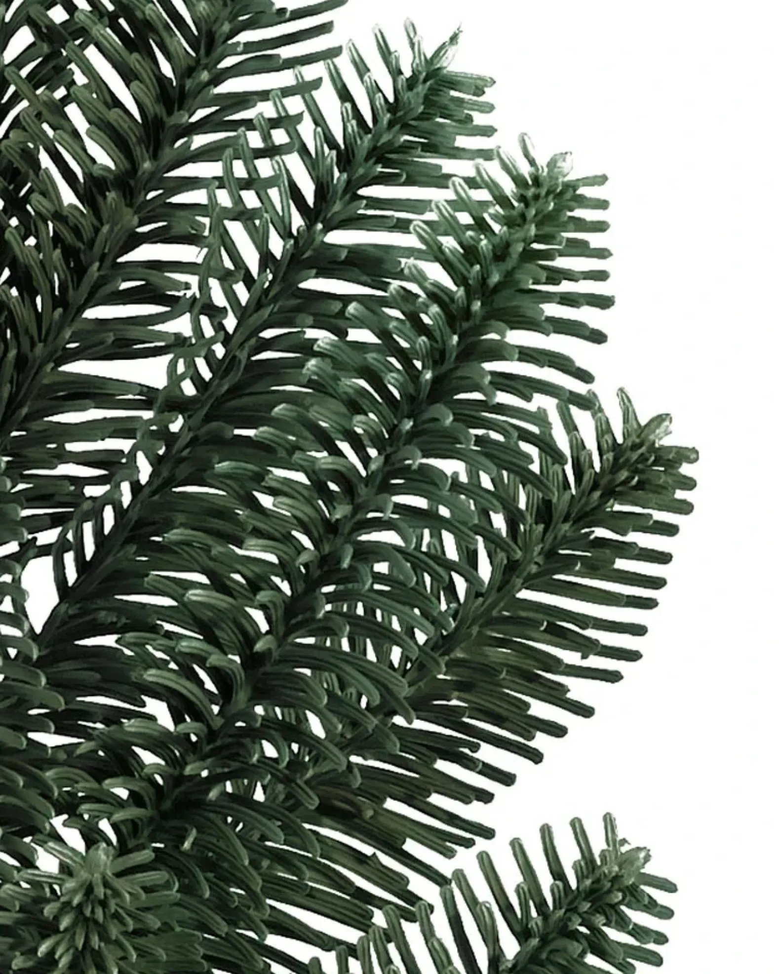 BH Noble Fir® Trees