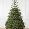 BH Nordmann Fir Trees