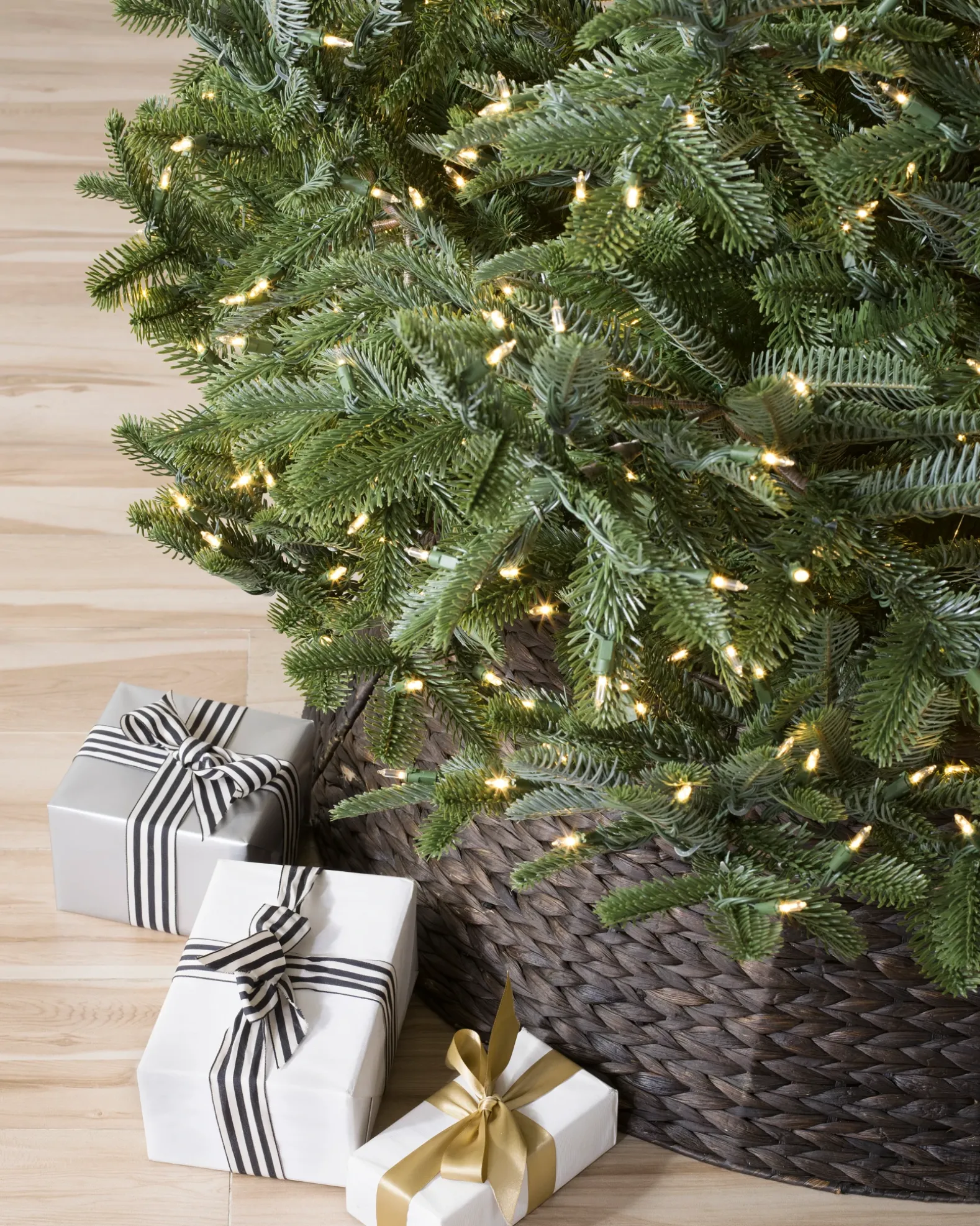 BH Nordmann Fir Trees