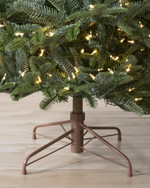 BH Nordmann Fir Trees