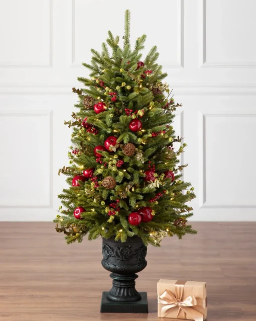 BH Norway Spruce Holiday Foliage