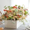 Briarwood Cottage Foliage