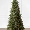 California Fir Trees