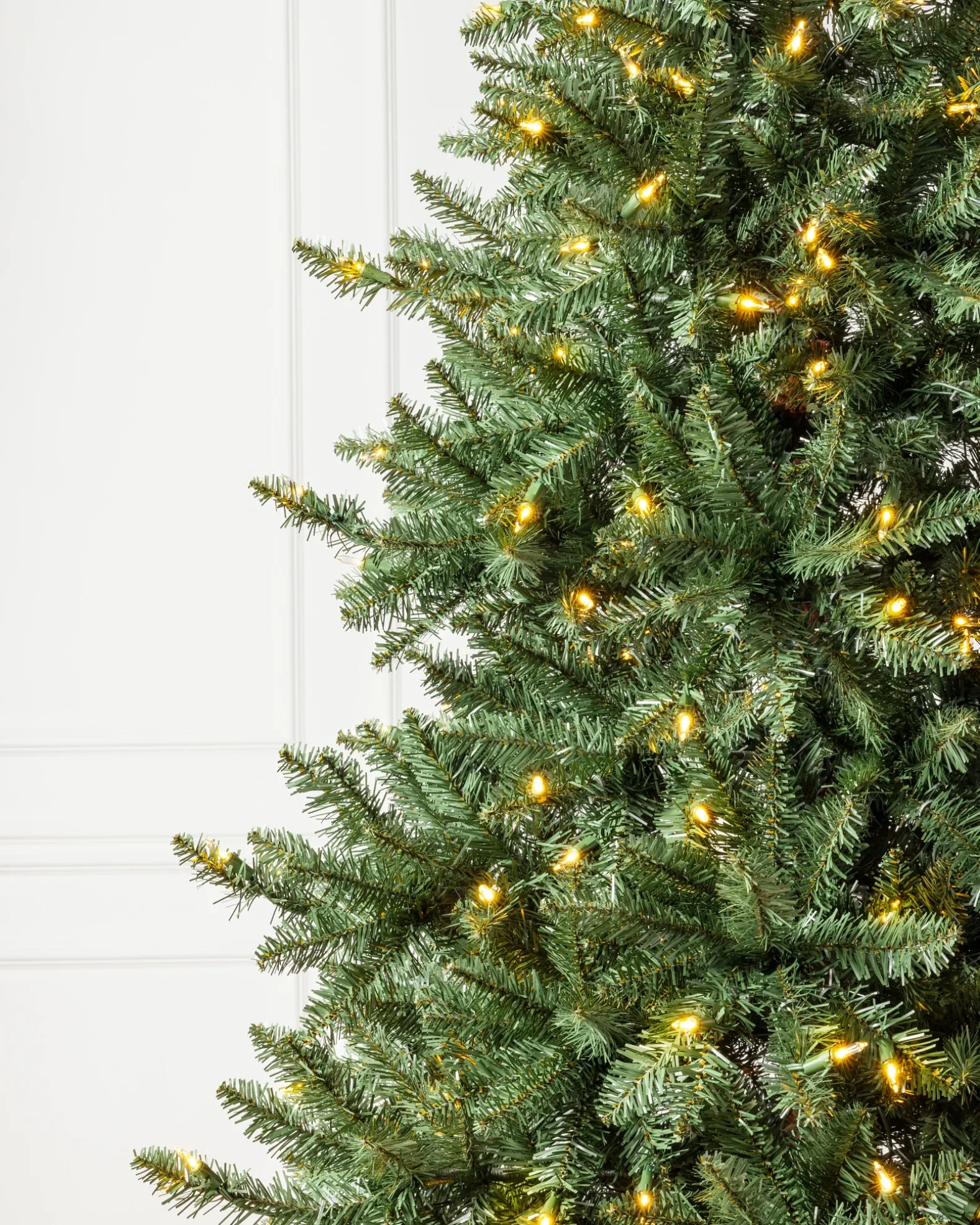 California Fir Trees