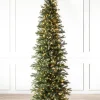 Cathedral Fir Trees