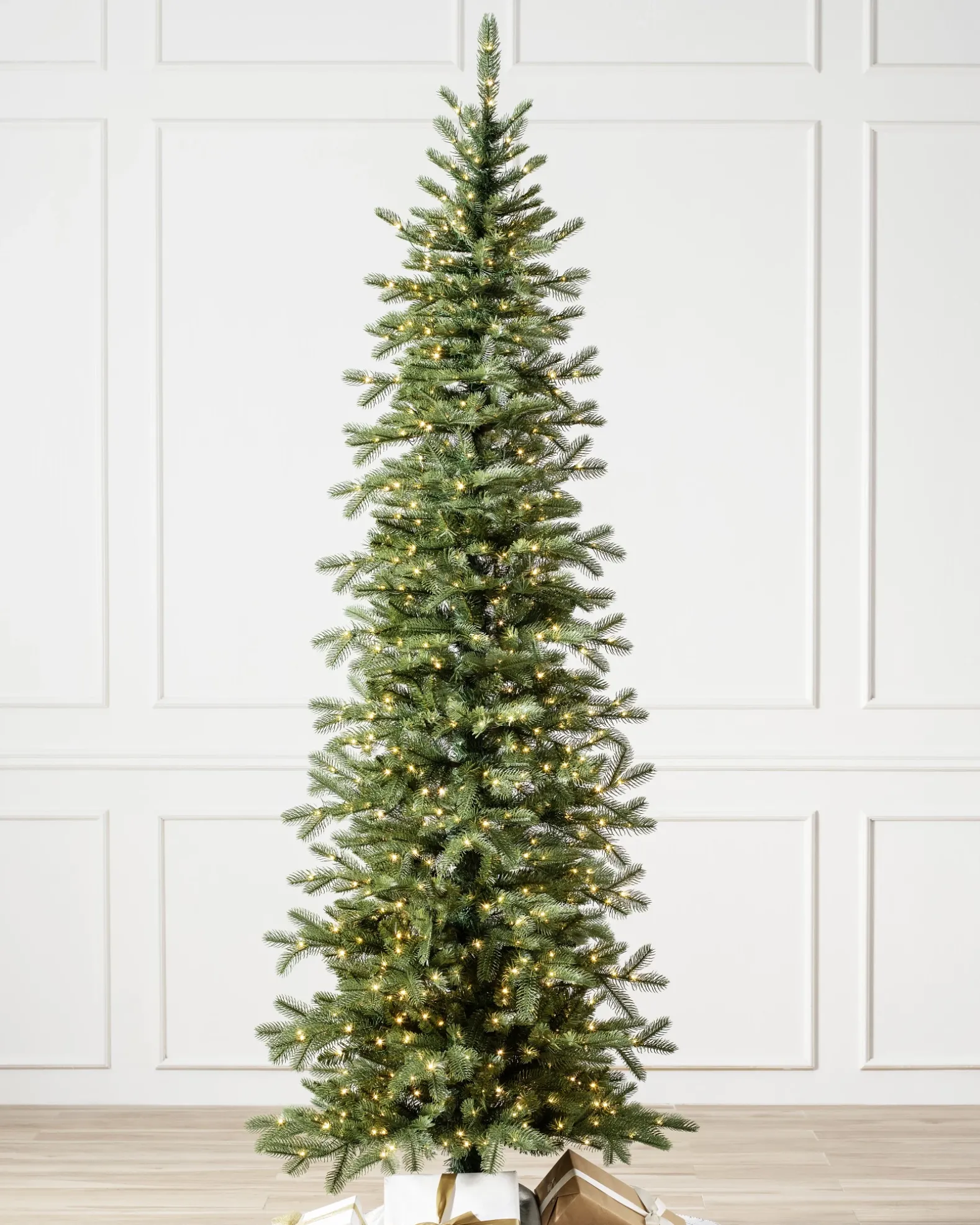 Cathedral Fir Trees