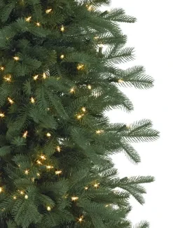 Cathedral Fir Trees