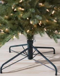 Cathedral Fir Trees