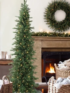 Cathedral Fir Trees