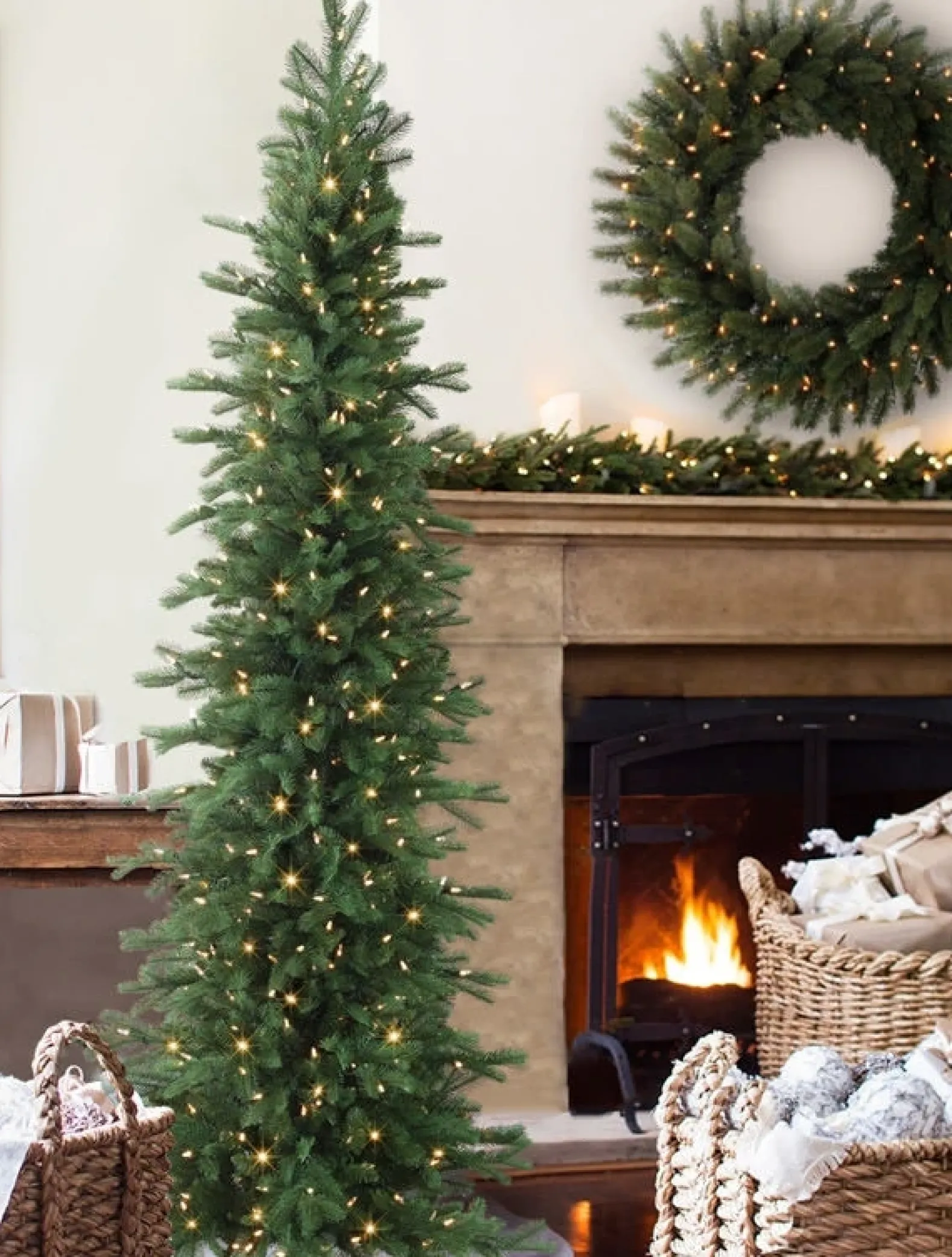 Cathedral Fir Trees