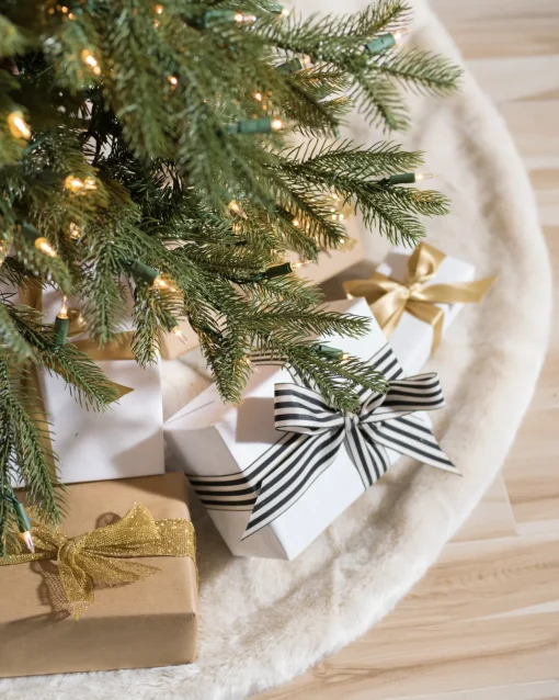 Cathedral Fir Trees
