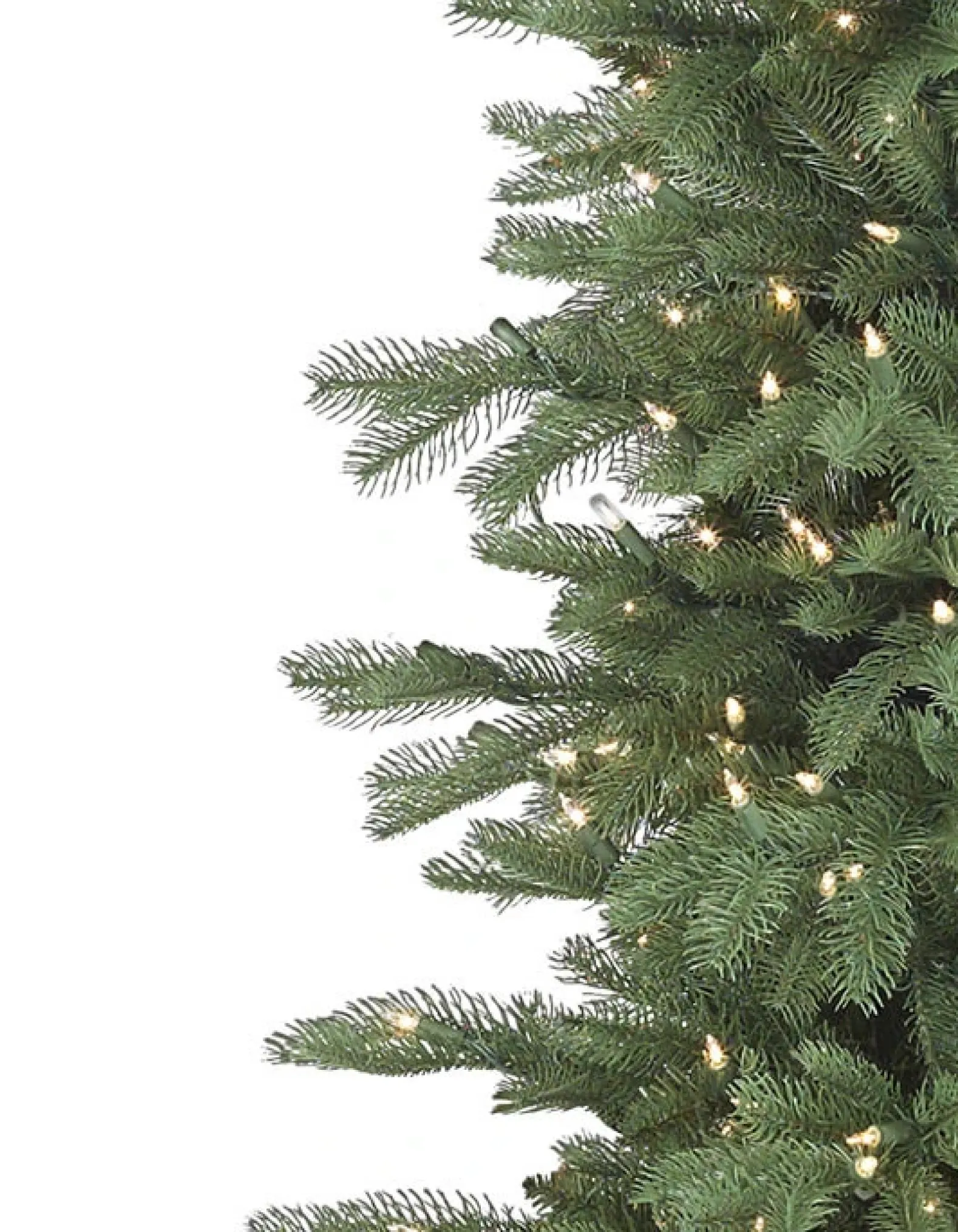 Cathedral Fir Trees