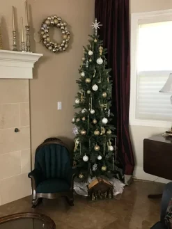 Cathedral Fir Trees