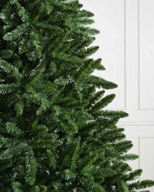 Classic Evergreen Spruce Trees