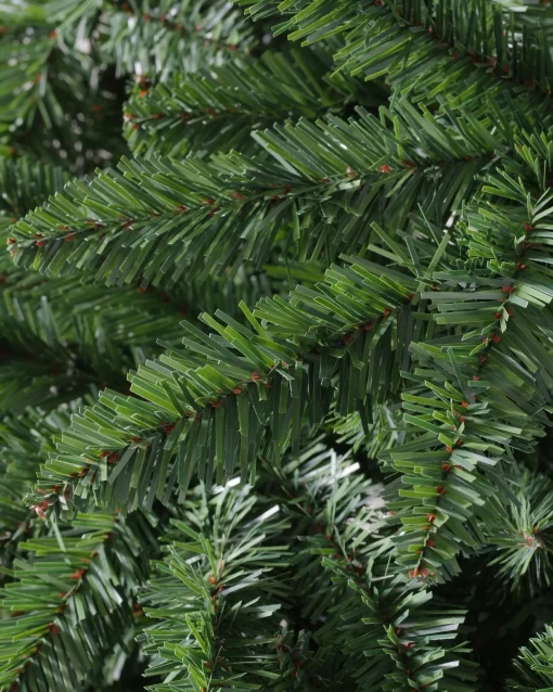 Classic Evergreen Spruce Trees