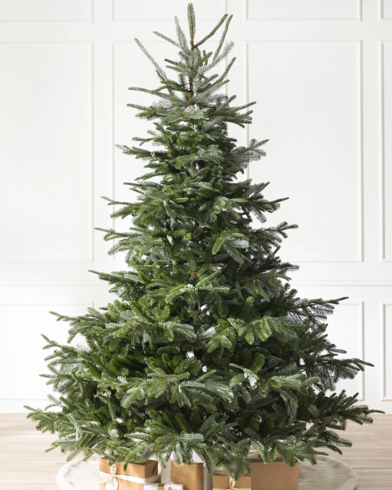 European Fir Trees