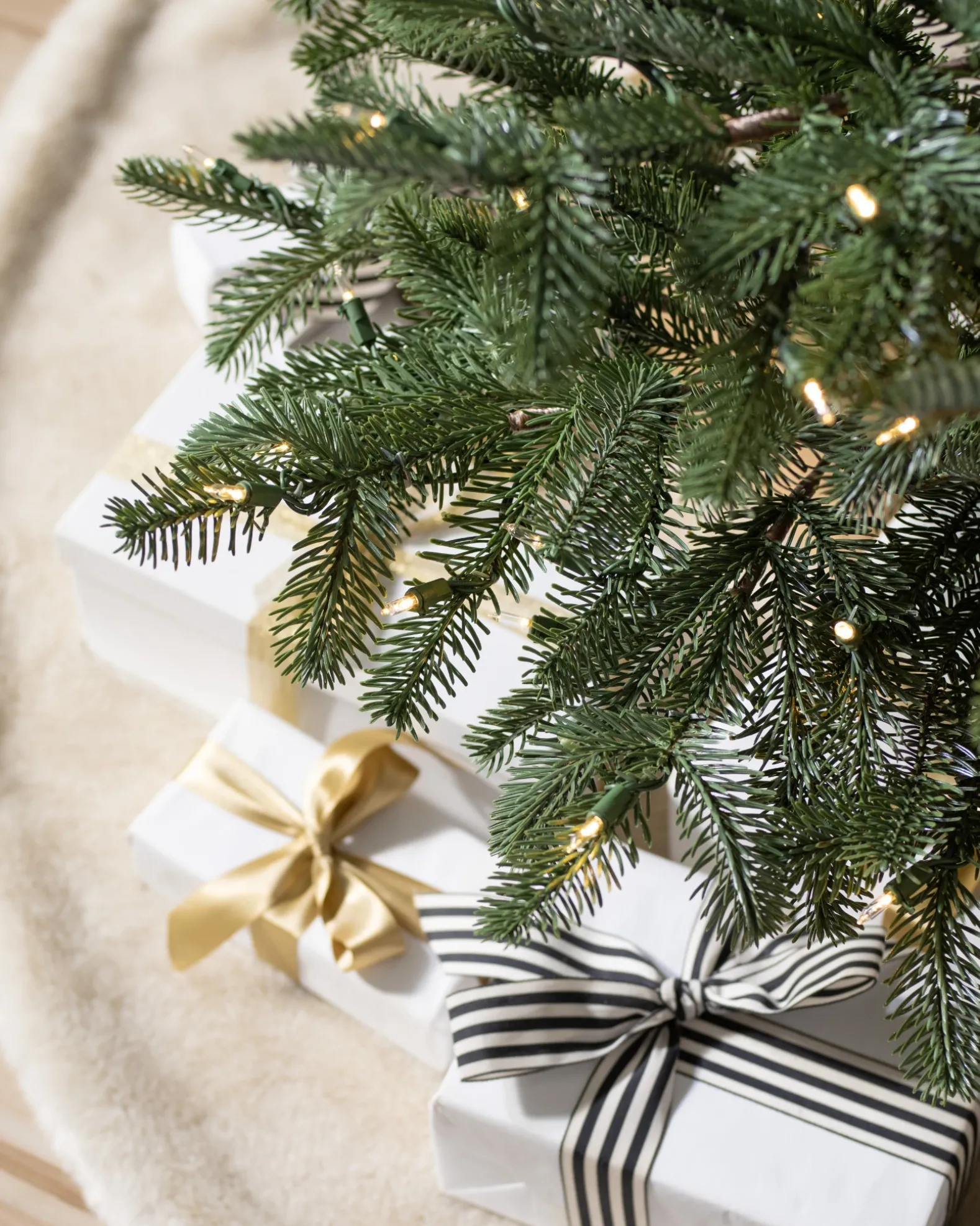 European Fir Trees