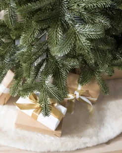 European Fir Trees