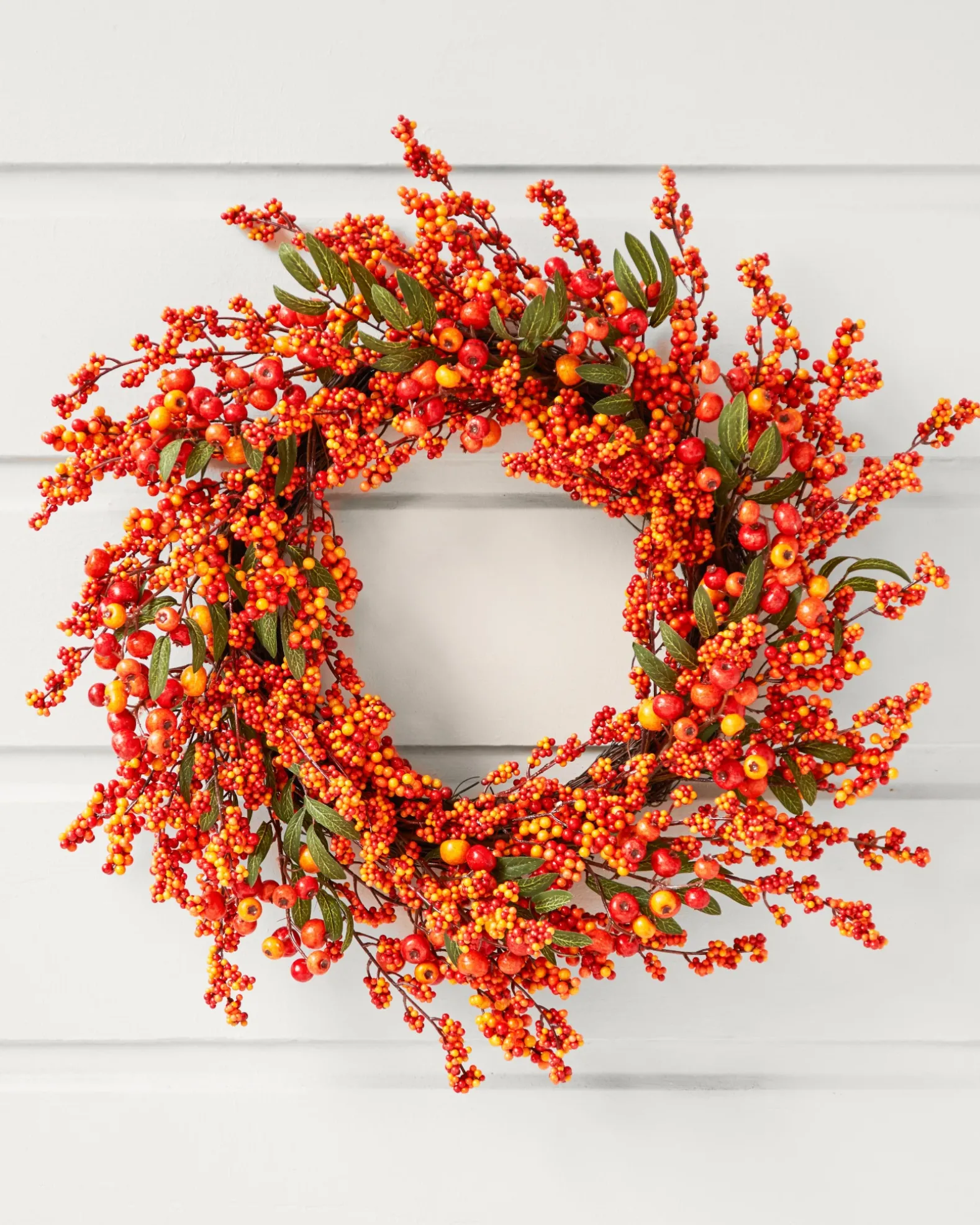 Fall Berry Foliage