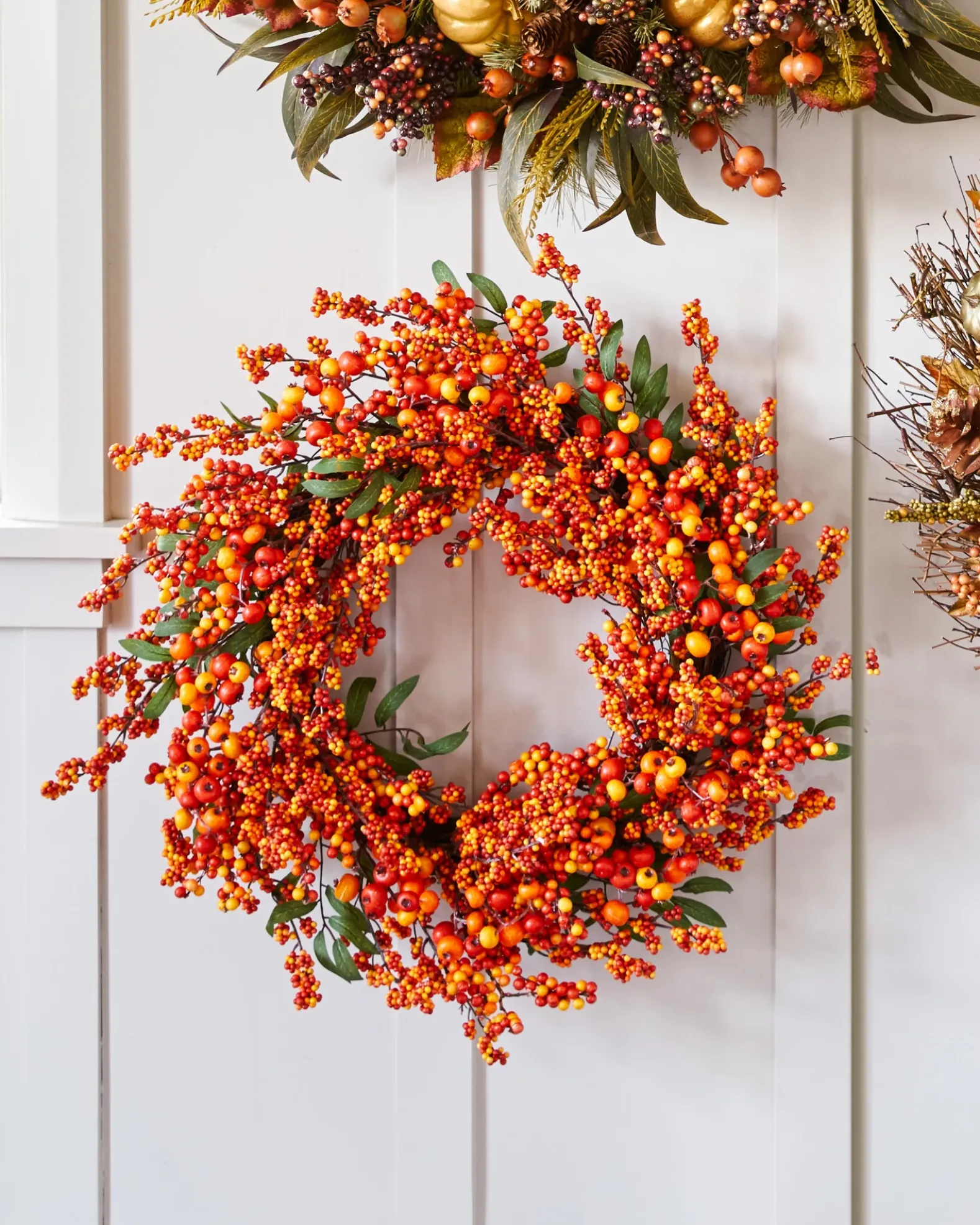 Fall Berry Foliage