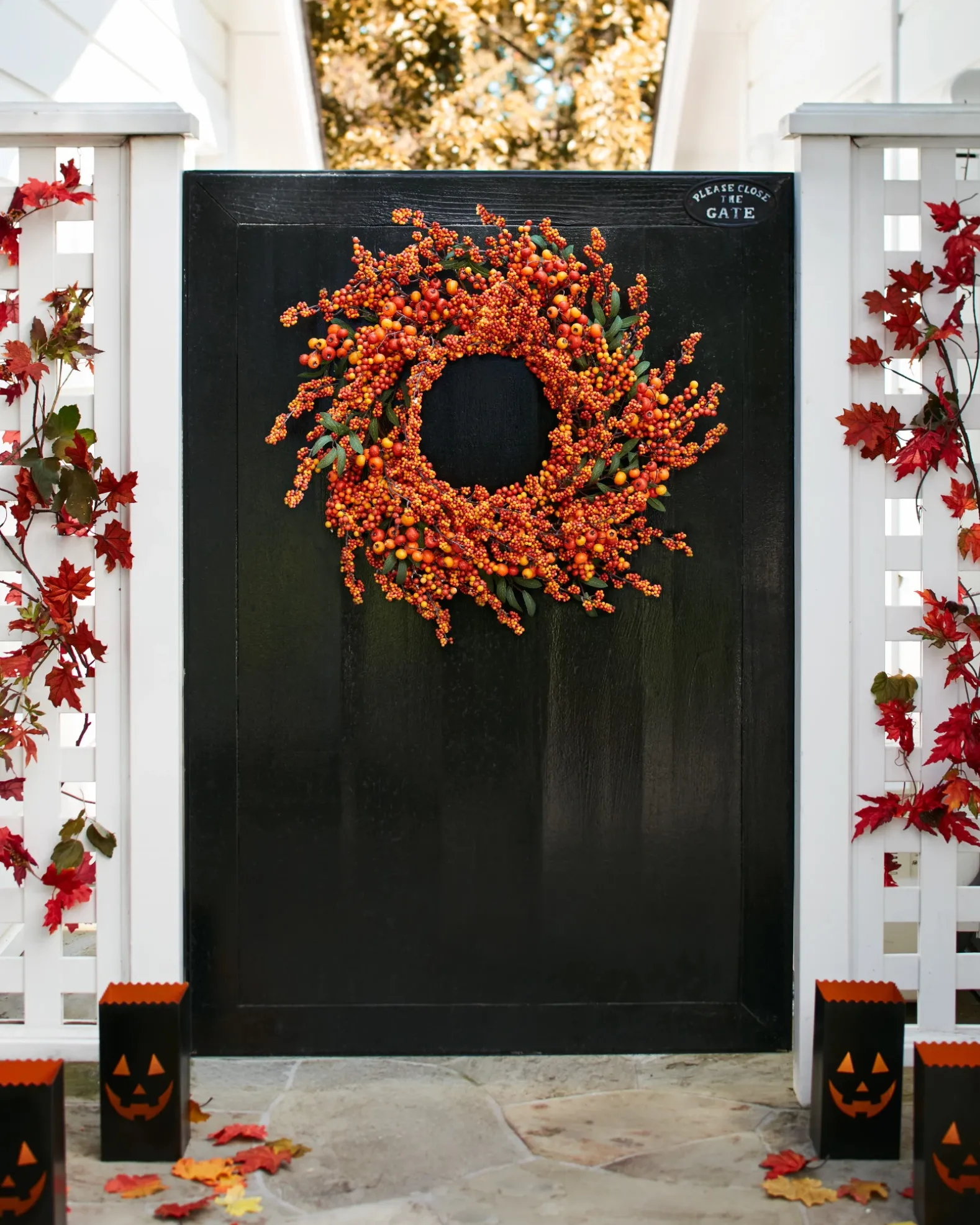 Fall Berry Foliage