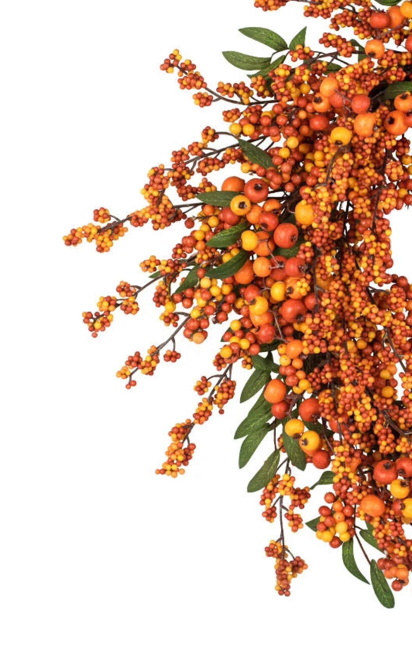 Fall Berry Foliage