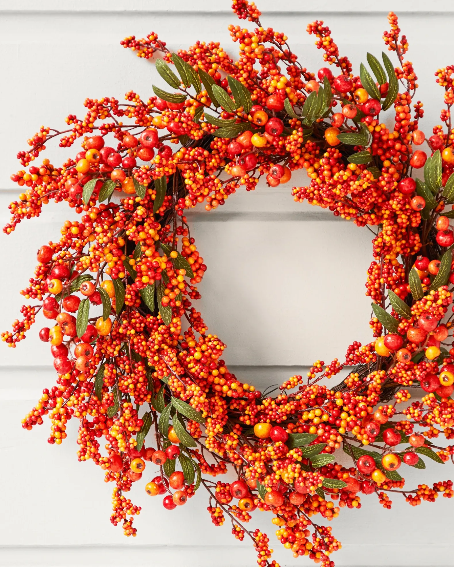 Fall Berry Foliage