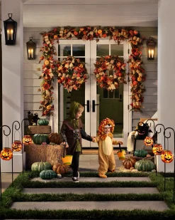 Fall Harvest Foliage