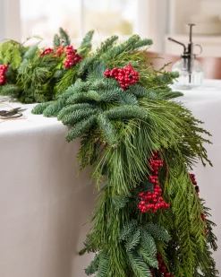 Fresh Cedar Forest Foliage