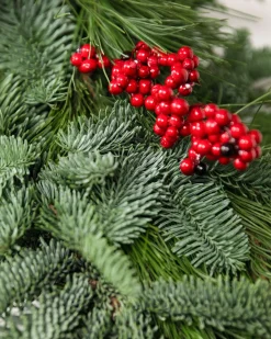 Fresh Cedar Forest Foliage