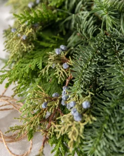 Fresh Evergreens & Juniper Berry Foliage