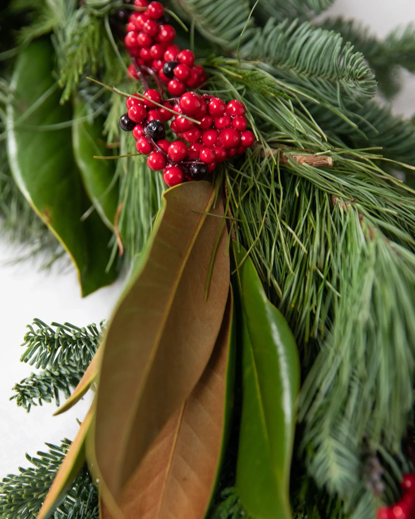 Fresh Southern Magnolia Evergreen Foliage