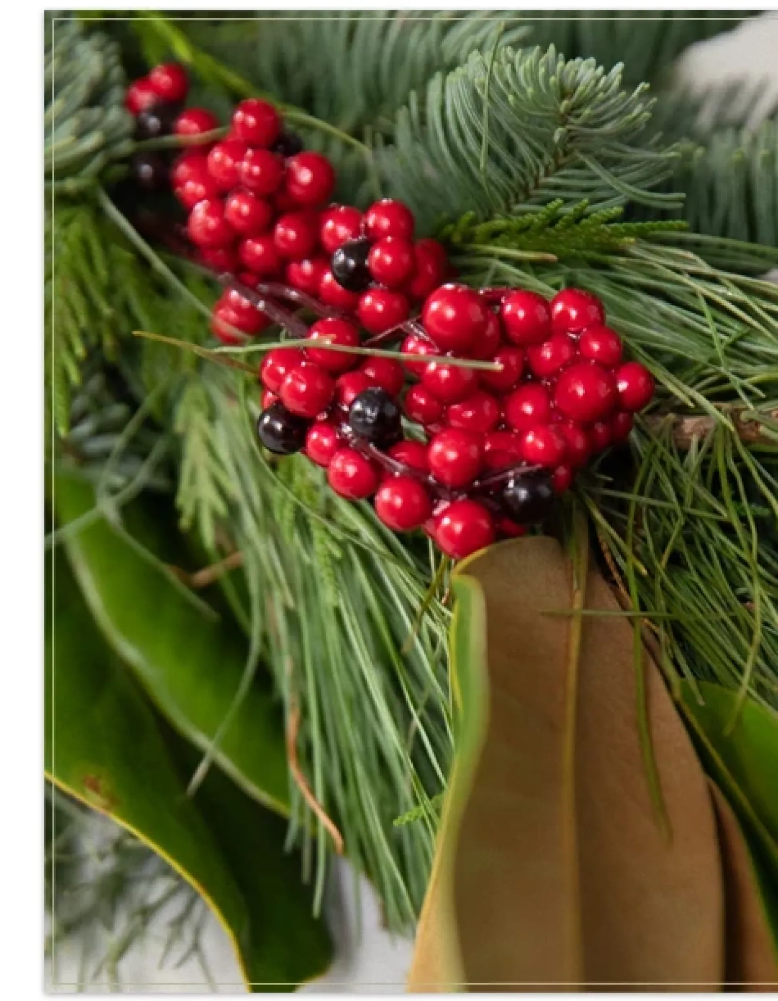 Fresh Southern Magnolia Evergreen Foliage
