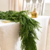 Fresh Wispy Cedar Foliage