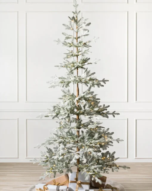 Frosted Alpine Balsam Fir Trees