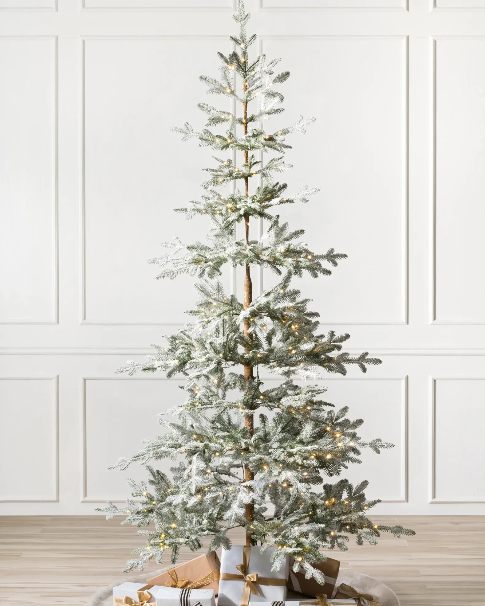 Frosted Alpine Balsam Fir Trees